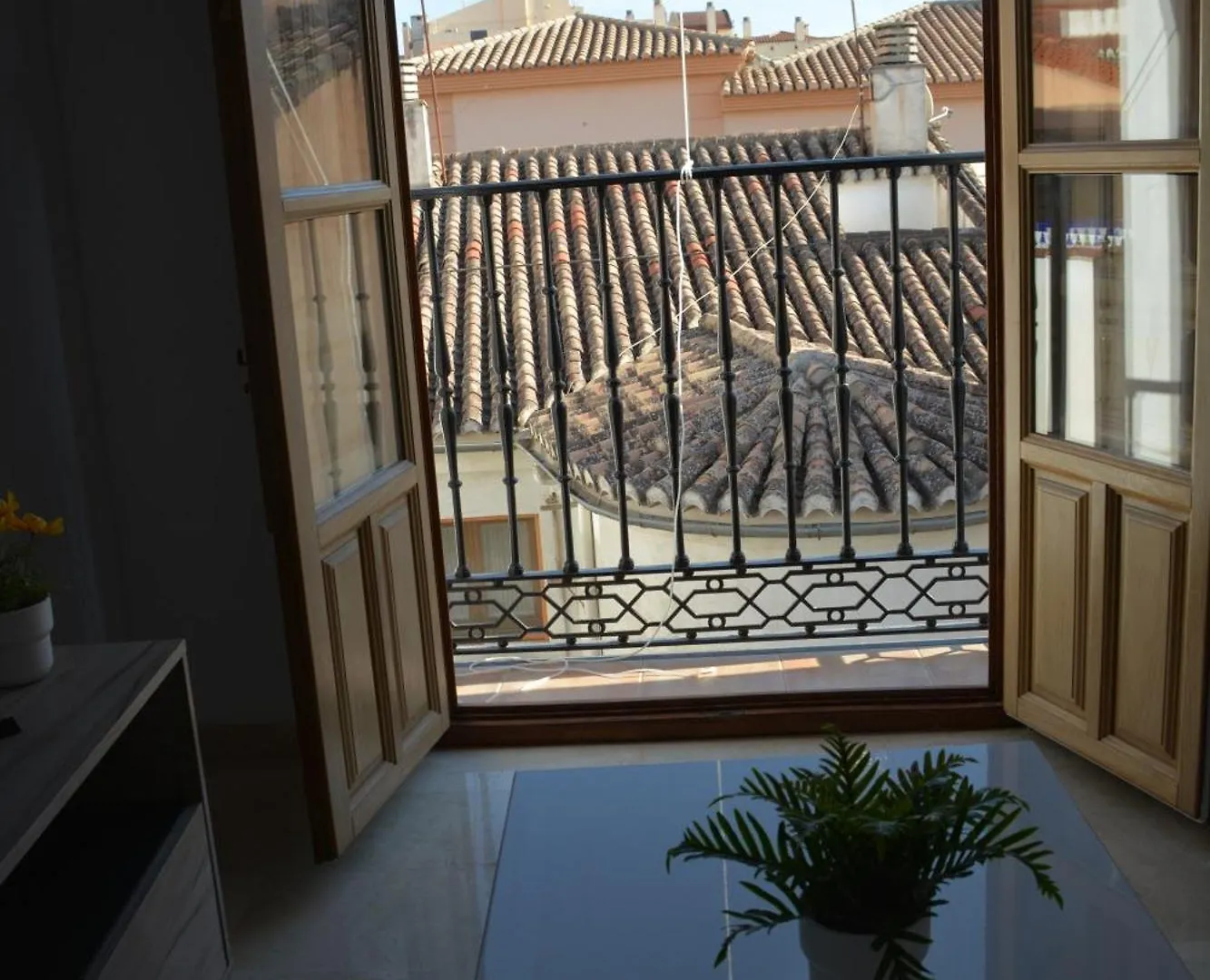 Apartamentos Suites Granada Centro Διαμέρισμα